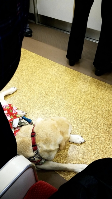 20190324_085656727.jpg