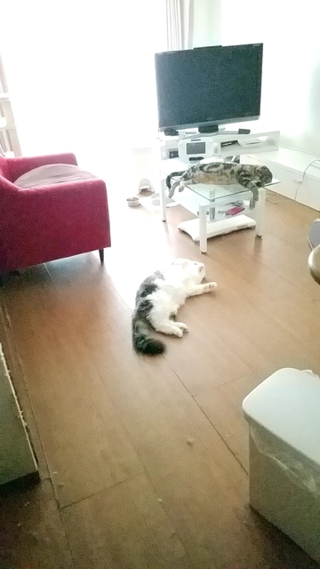 20190801_053405596.jpg