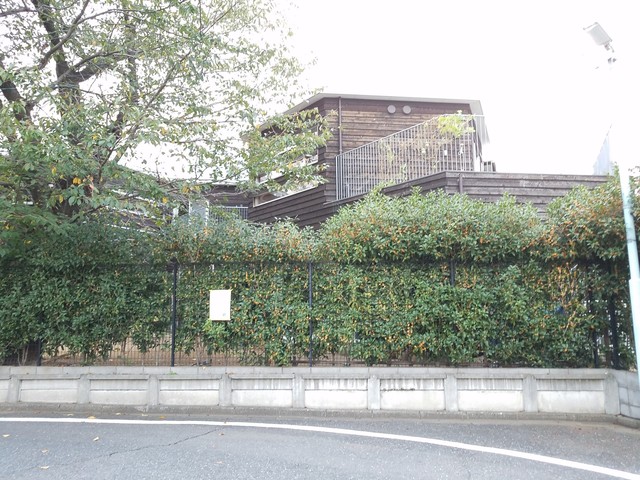 IMG_20191017_062046.jpg